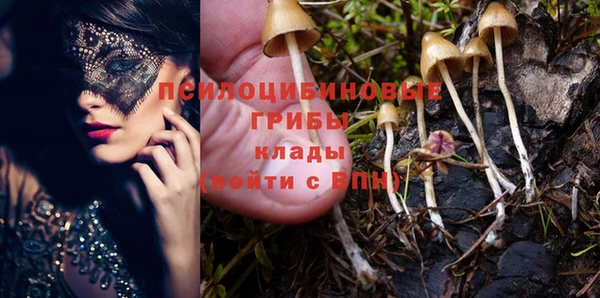 мдпв Алексин