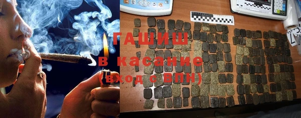 шишки Алзамай