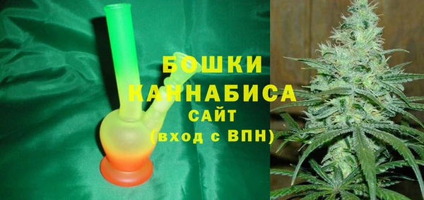 шишки Алзамай