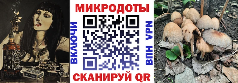 где продают наркотики  Сельцо  Псилоцибиновые грибы Cubensis 